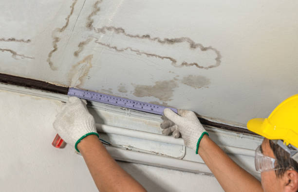 Reliable Water Damage contractor in Manistee, MI by Water Damage Irwin